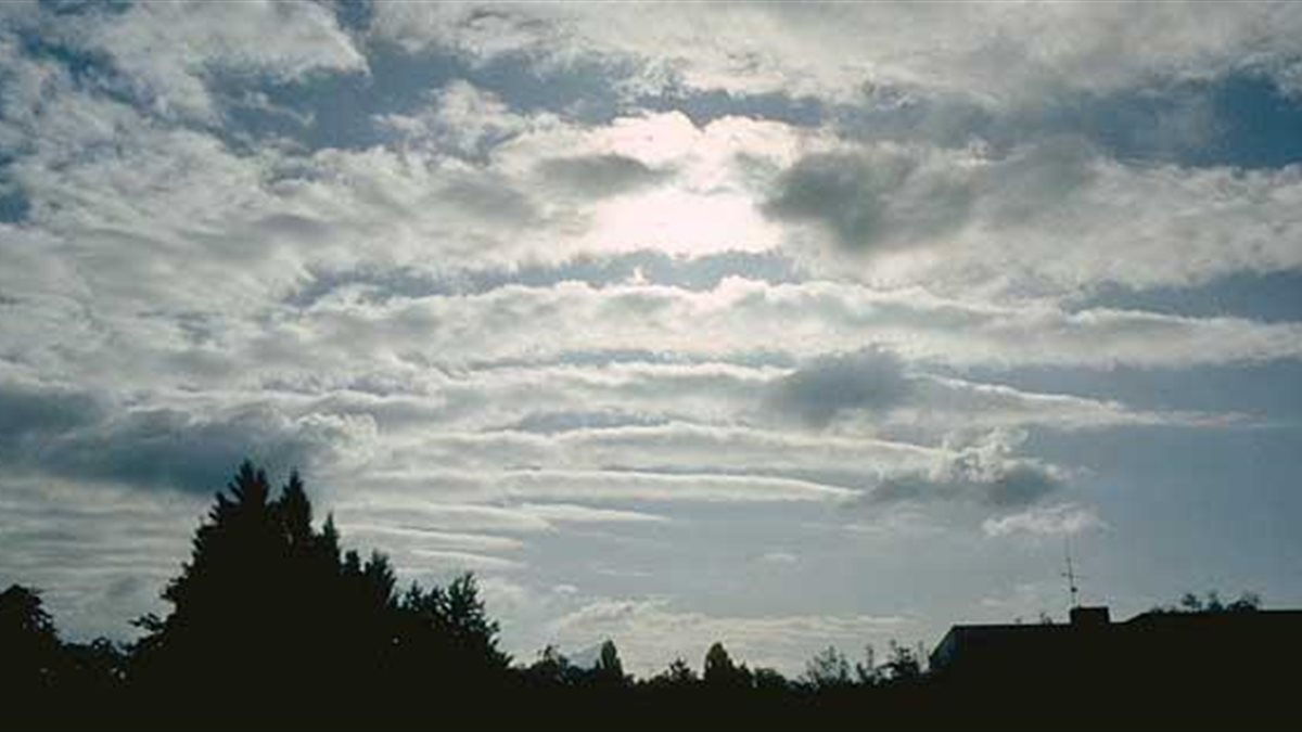 الأرصاد تكشف تفاصيل طقس الخميس 4 ديسمبر 2025 وتحذر من الشبورة والأمطار