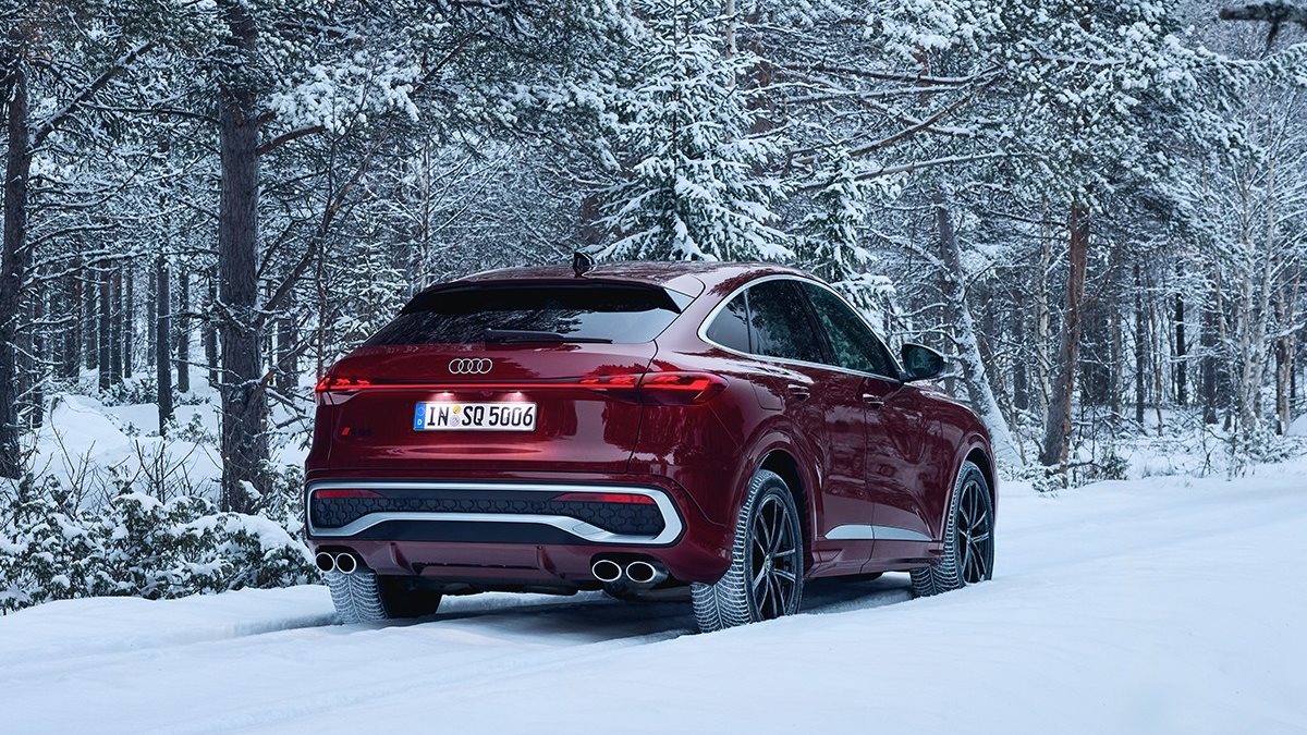 أودي SQ5 سبورت باك تجمع الفخامة والقوة.. المواصفات واستهلاك الوقود