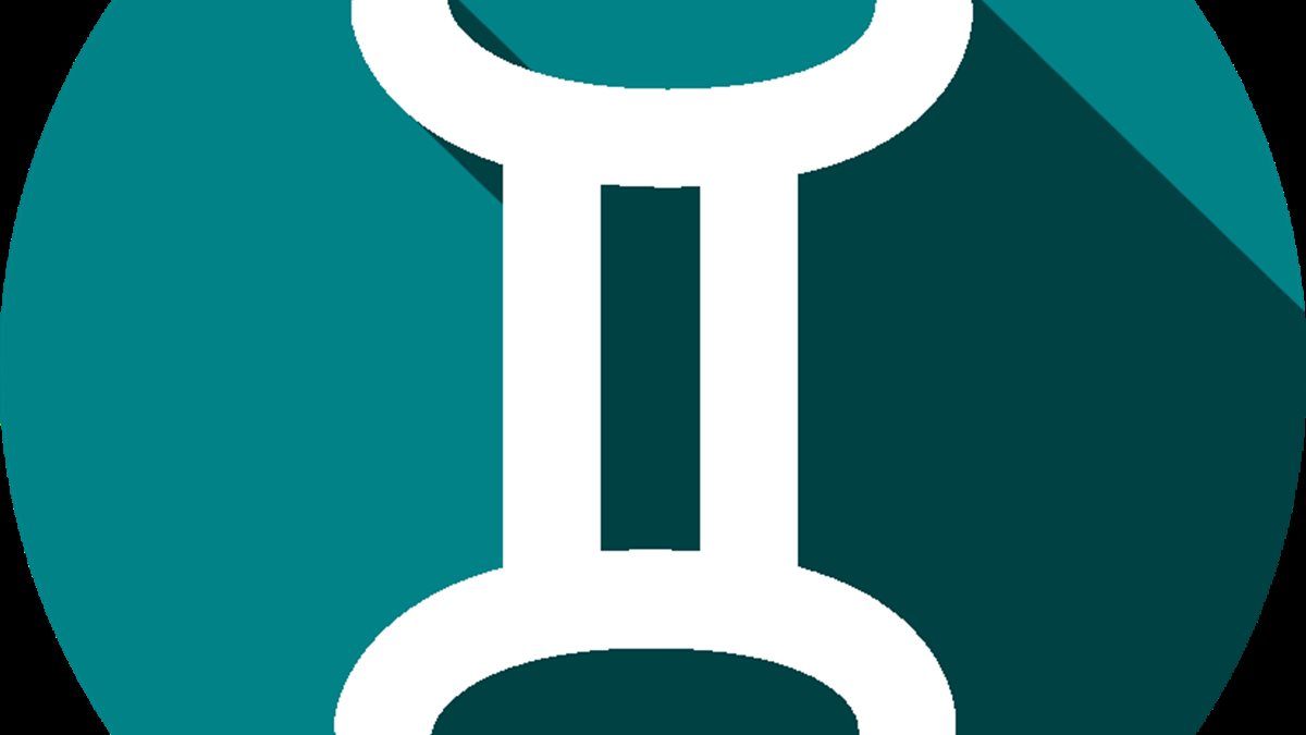 برج الجوزاء.. حظك اليوم الإثنين 8 ديسمبر 2025: نصيحة صحية ستكون مفيدة