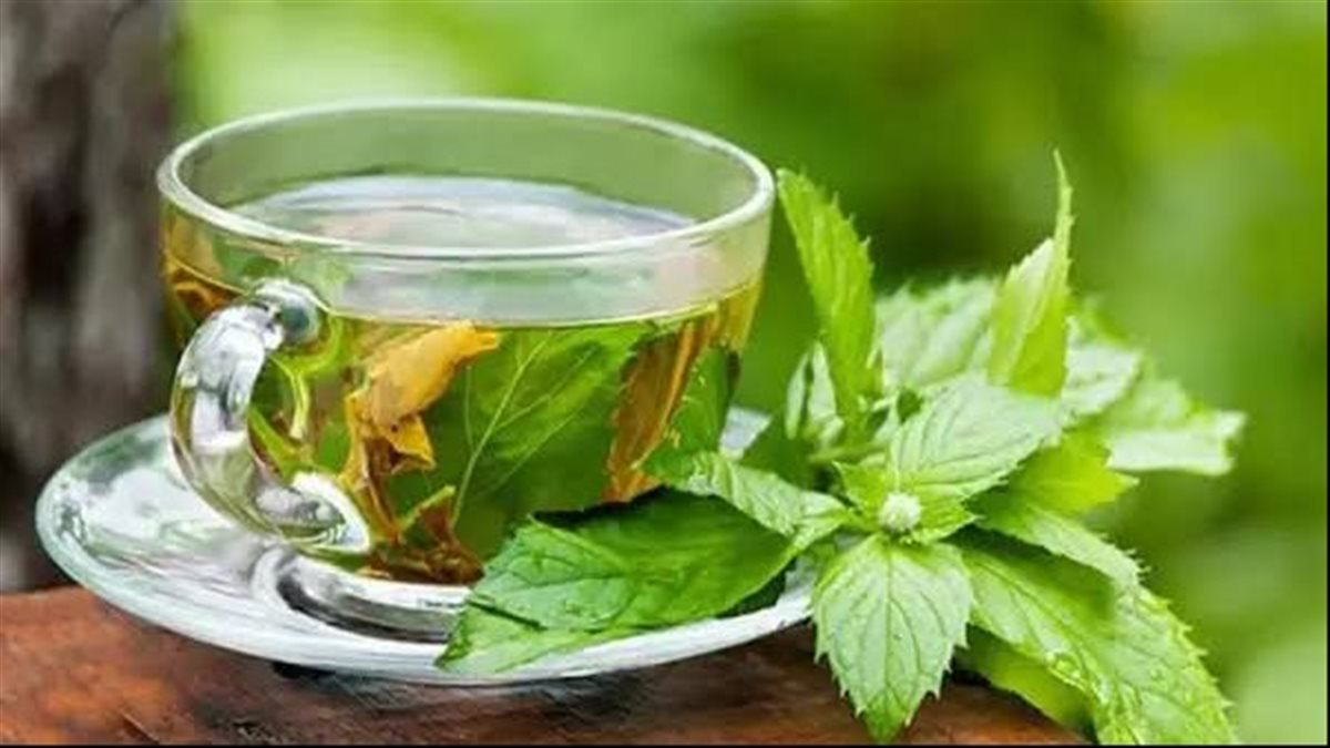 النعناع كنز صحي.. من نكهة منعشة إلى العديد من الفوائد الصحية