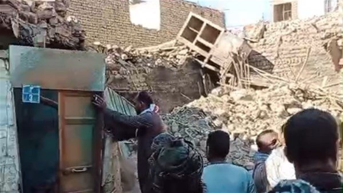 زراعة الأقصر تنفي علاقة النمل الأبيض بانهيار المنازل