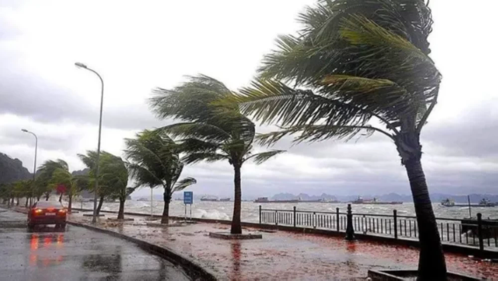 الطقس غدًا الثلاثاء.. رياح مثيرة للأتربة وفرص أمطار والصغرى بالقاهرة 12 درجة