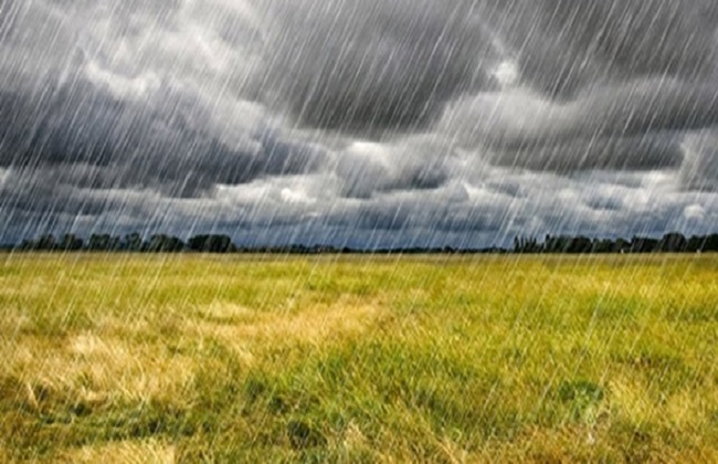 موجة برد قارس تضرب البلاد وعودة أجواء طوبة لمدة 10 أيام متواصلة وتحذيرات عاجلة للمزارعين