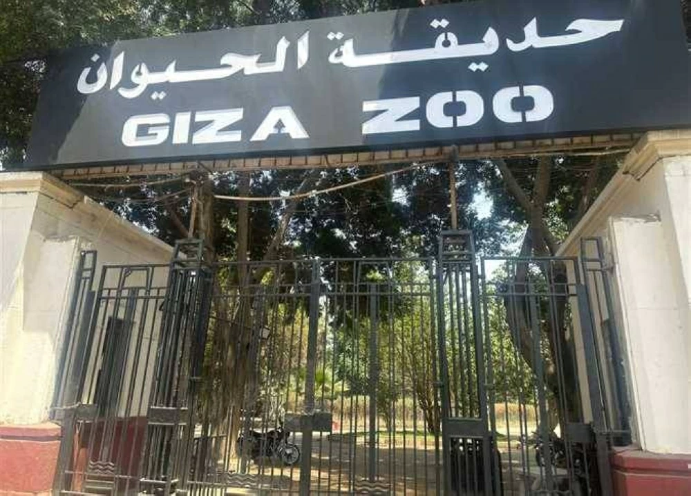 تطوير حديقة الحيوان بالجيزة.. رحلة العودة إلى العالمية وافتتاح مرتقب خلال 2026