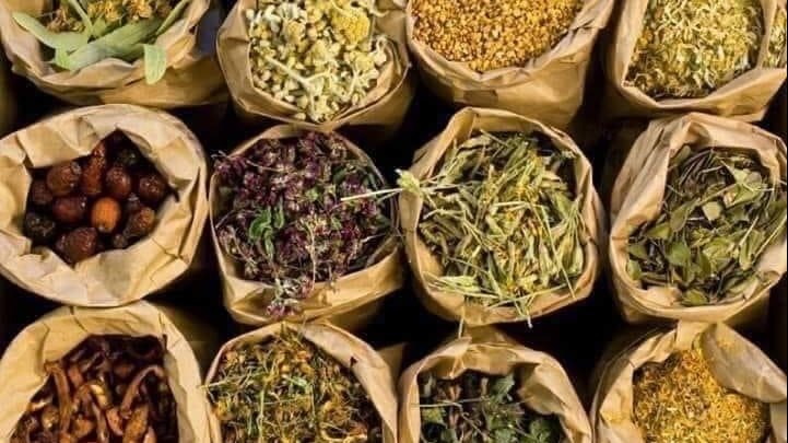 7 أعشاب طبيعية مفيدة لمرضى السكر وصحة الكلى