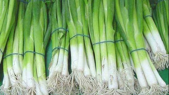 فوائد البصل الأخضر للصحة.. دعم القلب وتعزيز المناعة