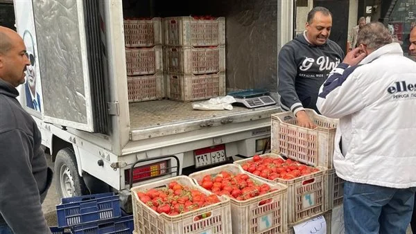التموين تطرح الطماطم بسعر مخفض عبر السيارات المتنقلة.. اعرف الأماكن