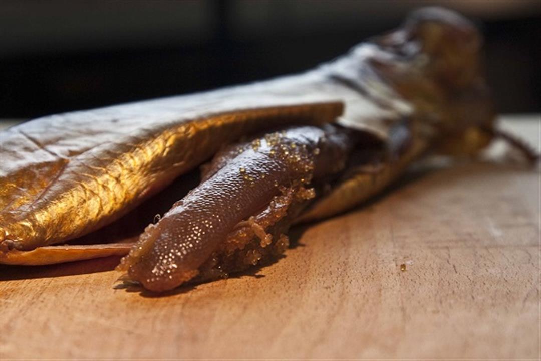 ماذا يحدث لجسمك عند تناول بطروخ الرنجة؟.. فوائد صحية ونصائح مهمة لتناولها