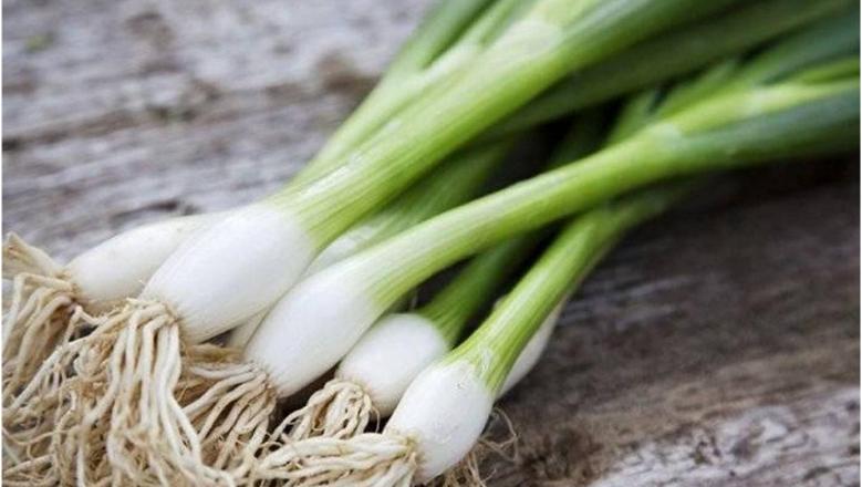 فوائد مذهلة للبصل الأخضر.. ماذا يحدث لجسمك عند تناوله؟
