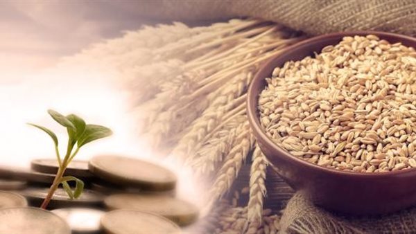 قبل نهاية رمضان.. الإفتاء تكشف قيمة زكاة الفطر 2026 وحكم إخراجها بعد العيد