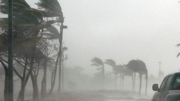 «منخفض خماسينى».. مركز المناخ يحذر من التقلبات الجوية في الأيام المقبلة| نصائح عاجلة للمزارعين