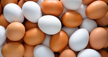 أسعار الفراخ اليوم الخميس 9 أبريل 2026 تشهد استقرارا ملحوظا في الأسواق المصرية