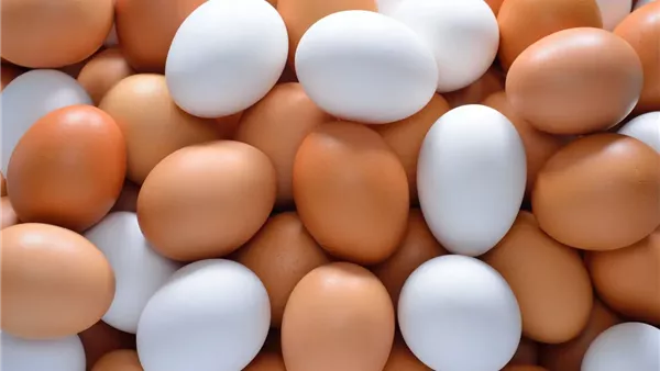 حذاري من خطأ شائع يفعله الكثيرون يتسبب في تعفن البيض.. وهذه هي طريقة تخزينه الصحيحة