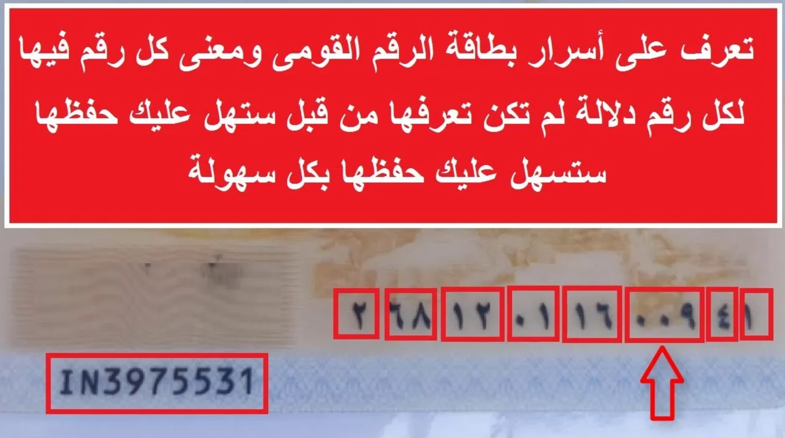 تعرف على أسرار بطاقة الرقم القومى ومعنى كل رقم فيها.. أسرار وخبايا لم تكن تتخيلها