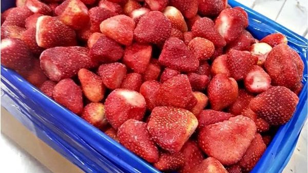 هتفضل فريش طول السنة.. خطوات تخزين الفراولة بشكل صحيح