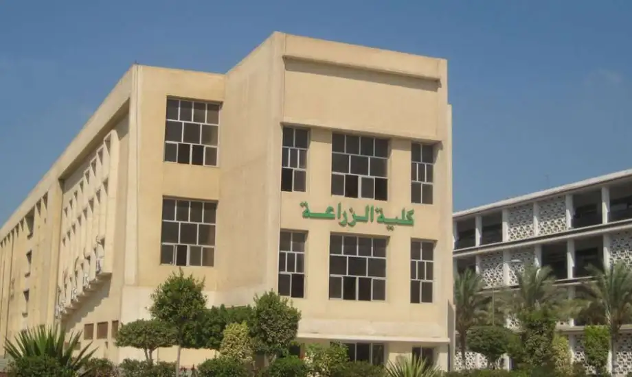 حقيقة سحب لقب مهندس من خريجي «الزراعة».. نقيب الزراعيين يوضح