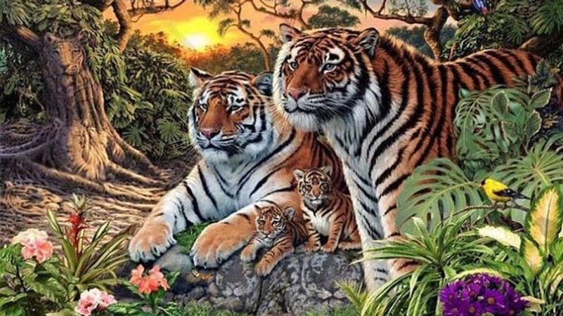 كم نمراً ترى في هذه الصورة؟.. اللغز يحدد ما إذا كان تركيزك جيداً أم لا