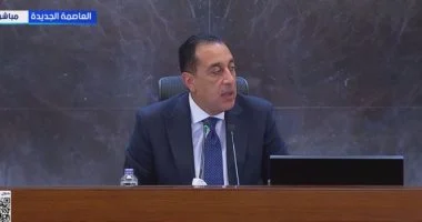 مدبولي يؤكد ترحيب العالم بوقف إطلاق النار ويشدد على تواصل الجهود المصرية لإرساء السلام