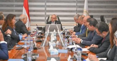 وزارة الاستثمار تبحث مع شركة صينية إنشاء مجمع صناعي لإطارات السيارات بـ 2 مليار دولار