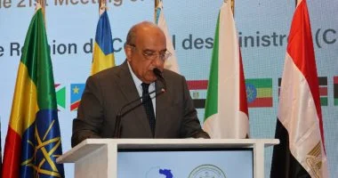 وزير الكهرباء: مصر تدعم إنشاء سوق إقليمية تنافسية وفعالة للطاقة في أفريقيا
