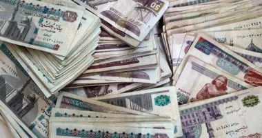 18.2 مليار جنيه قيمة التمويلات الموجهة للمشروعات الزراعية متناهية الصغر بنهاية يناير 2026