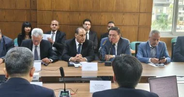 اتفاقيات التجارة الحرة تحفز الاستثمارات الصينية في مصر