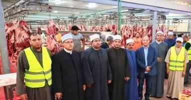 الأوقاف تتابع تجهيز صكوك الأضاحى بالفيوم لتوزيعها