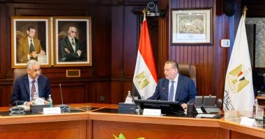 «البنك المركزي» يبحث آليات تعزيز التعاون التنموي مع رئيس بنك التنمية الإفريقي