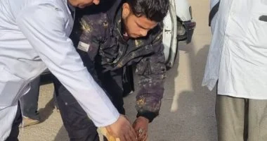 “الطب البيطري بمدينة العاشر”: تعقيم وتطعيم 196 كلبا بعدد من المجاورات