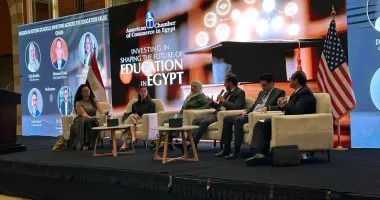 «المؤسسة البريطانية للاستثمار الدولي»: دمج رأس المال بالمعرفة لضمان استثمارات نوعية في مصر