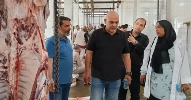 بيطري القليوبية: استقبال 3732 أضحية بمجازر المحافظة خلال أيام عيد الأضحى