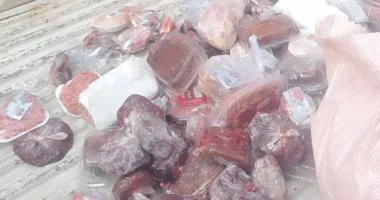 تحصين 155710 طيور متنوعة بلقاحات الدواجن بكفر الشيخ وتحرير 25 محضرا للمخالفين