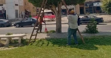 تعرف على كيفية المشاركة فى مبادرة المشروعات الخضراء بالبحيرة