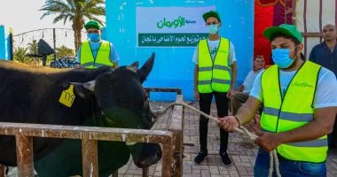 توزيع 50 ألف كيلو لحوم أضاحى و50 عجل بلدى للأسر بالشرقية خلال عيد الأضحى