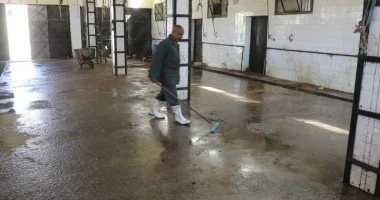 جاهزية 38 مجزرا حكوميًا مجانا استعدادا لعيد الأضحى فى المنيا