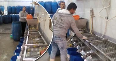 جهاز تنمية المشروعات يضخ 4.1 مليار جنيه لتمويل 190.8 ألف مشروع في بني سويف