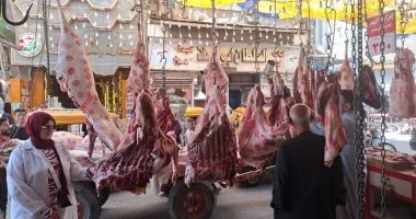 حملات رقابية بالشرقية على شوادر اللحوم والمخابز