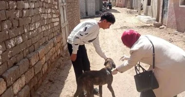 حملة ميدانية لتحصين 80 كلبا ضد مرض السعار بـ8 مراكز بكفر الشيخ