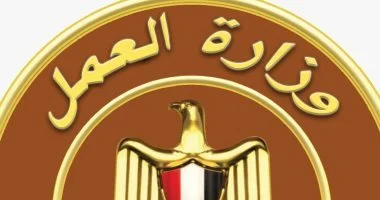 خطوات استخراج شهادة قياس المهارة والأوراق المطلوبة فى بنى سويف