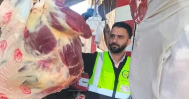 سلامة الغذاء بالشرقية: تنفذ 275 حملة رقابية