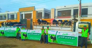 سوهاج تستعد لـ«الأضحى» بـ50 عجلا بلديا و50 ألف كيلو لحوم للأسر الأولى بالرعاية