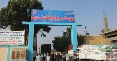 صوامع وشون بنى سويف استلمت 165 ألف طن من الأقماح المحلية