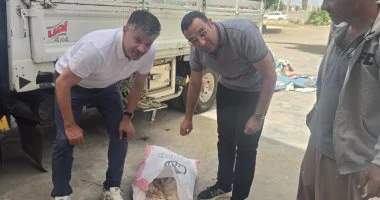ضبط 14 طن دواجن نافقة وهياكل فراخ وأوراك وأجنحة مجمدة غير صالحة بكفر الشيخ