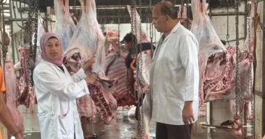 عدد الأضاحى بالمجازر الحكومية بالإسكندرية بلغ 872 رأسا فى أول أيام العيد