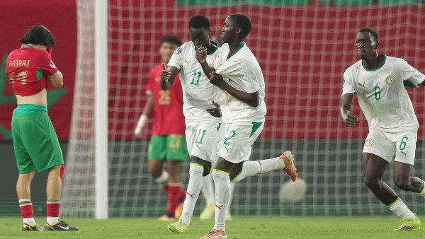 عقدة المغرب.. السنغال تفرض سيطرتها علي اسود الأطلس إفريقيا