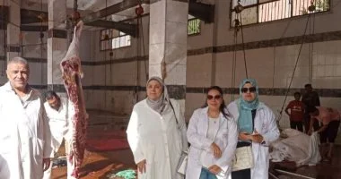 فتح 16 مجزرا بالشرقية لذبح الأضاحي مجانا.. 7 تكليفات للبيطريين خلال العيد