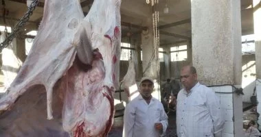 مجازر كفر الشيخ تفتح أبوابها مجانا لذبح الأضاحي طوال أيام العيد