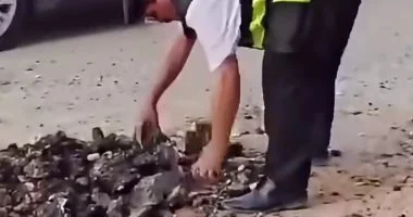 محافظ الشرقية يشيد بشرطي مرور رفع مخلفات ردم من الطريق لتسير حركة المرور