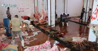 محافظ القليوبية يتفقد جاهزية المجازر للوقوف على استعدادات استقبال عيد الأضحى
