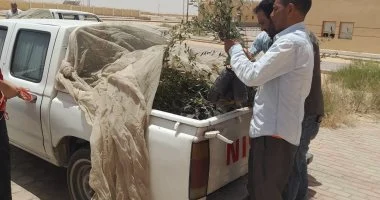 محافظ جنوب سيناء يستجيب لمتضررى تجمع النهايات برأس سدر ويوجه بتعويضهم